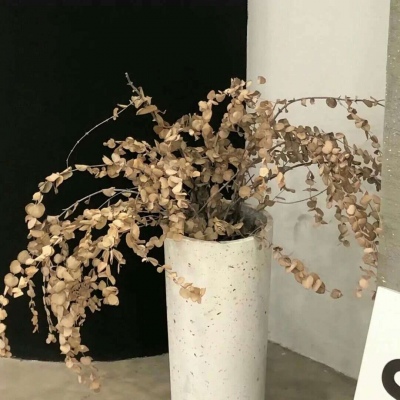 Furry原创作品欣赏兽圈社群